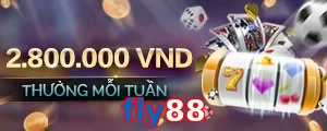 fly88