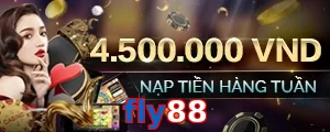 fly88