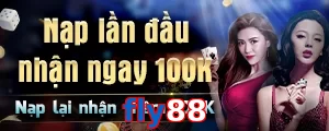 fly88