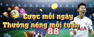 fly88